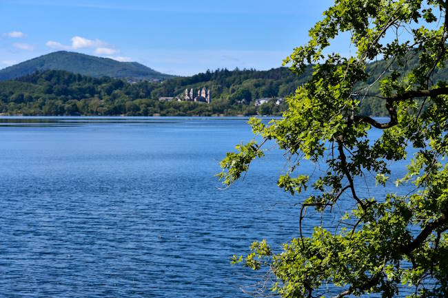 Lacher See, Eifel