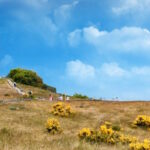 Kurzurlaub Hiddensee