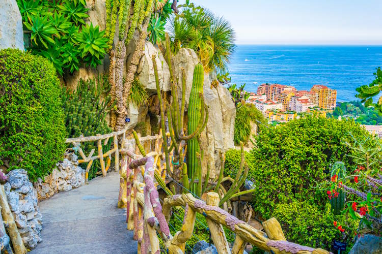 Jardin Exotique garden in Monaco