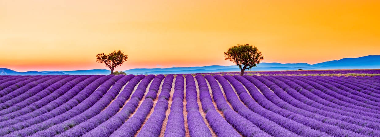 Provence, Frankreich