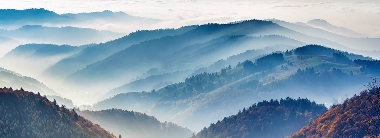 Kurzurlaub Schwarzwald